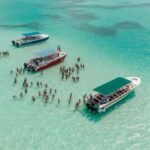 From Punta Cana: Party Boat Booze Cruise - Who Will Love This Experience?
