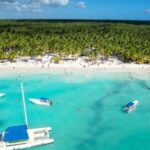 From Punta Cana: Saona Island Day Trip with Buffet Lunch - Transport and Logistics