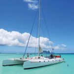 From Punta Cana: Saona Island Day Trip with Lunch and Drinks - The Speedboat Adventure: Why It’s a Highlight