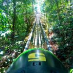 from Runaway Bay: Jamaica Bobsled and Zipline - Breaking Down the Experience: What You Can Expect
