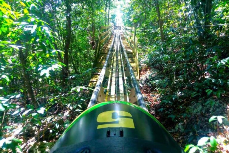from Runaway Bay: Jamaica Bobsled and Zipline - Breaking Down the Experience: What You Can Expect
