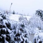 From Samarkand: Zomin Mountains Winter Cable Car Day Trip. - The Cable Car: The Crown Jewel of the Trip