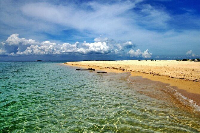 From Sandakan 2D1N Turtle Island Tour - Exploring the 2-Day Itinerary