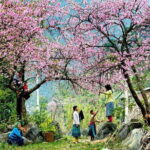 From Sapa: 2 Days 1 Night Trek Over Night At Homestay - What You’ll See and Do: The Itinerary in Detail