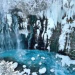 From Sapporo: Asahiyama Zoo, Waterfall & Blue Pond Tour - The Practical Side: What to Expect