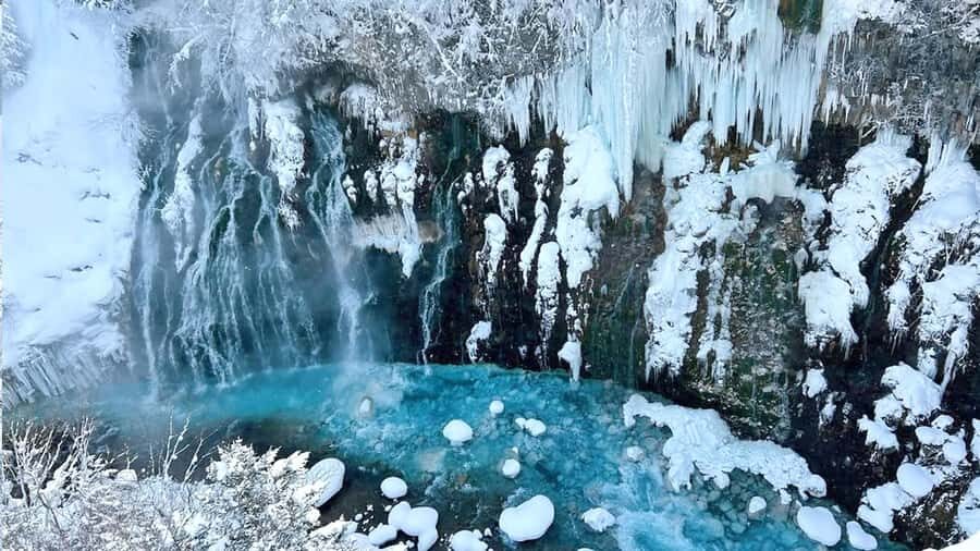 From Sapporo: Asahiyama Zoo, Waterfall & Blue Pond Tour - The Practical Side: What to Expect