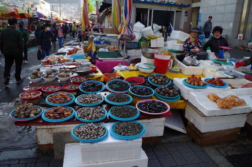 From Seoul: 5-Day Tour of Korea with UNESCO Sites - Who Is This Tour Best For?