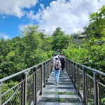 From Seoul: Closest Observatory to DMZ (Starbucks Tour) - What Do Travelers Say?