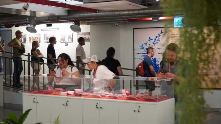 From Seoul: DMZ Tour and North Korea Experience Hall - Practical Details and Value