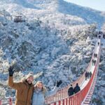 From Seoul: DMZ Tour & North Korean Defector Talk - Analyzing the Value