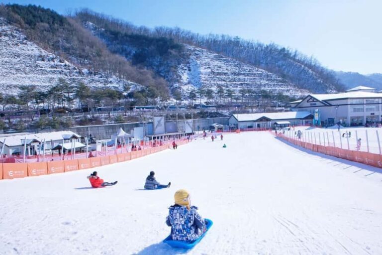 From Seoul: Elysian Ski Resort One Day Tour - The Itinerary Breakdown