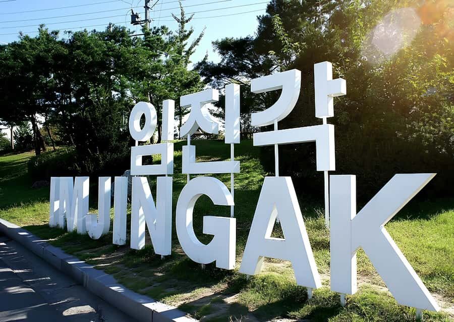 From Seoul Essential Private DMZ Tour - The Experience: What You Can Expect