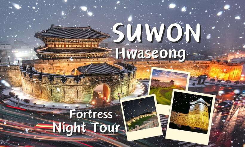 From Seoul: Evening Tour to UNESCO Suwon Hwaseong Fortress - Who Will Love This Tour?