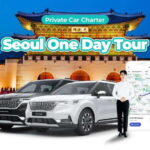 From Seoul: Full-Day Gyeonggi do Private Car Charter - The Experience in Detail