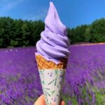 From Seoul: Full-Day Trip to Pocheon`s Nature Attractions - Fragrant Gardens and Colorful Charm at Herb Island