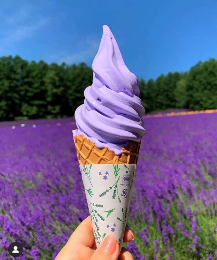 From Seoul: Full-Day Trip to Pocheon`s Nature Attractions - Fragrant Gardens and Colorful Charm at Herb Island