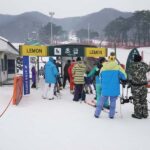 From Seoul: Jisan Forest Resort Ski Full-Day Tour or Shuttle - A Closer Look at the Tour Experience
