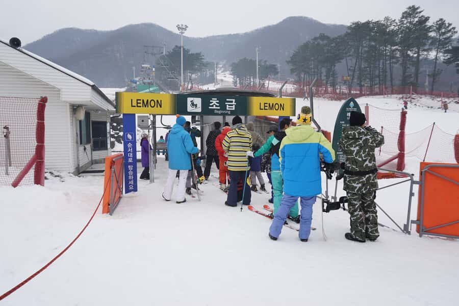 From Seoul: Jisan Forest Resort Ski Full-Day Tour or Shuttle - A Closer Look at the Tour Experience