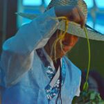 From Seoul: Make Your Own Chilli Paste & Ginseng Liquor Tour - An In-Depth Look at the Itinerary and Experience