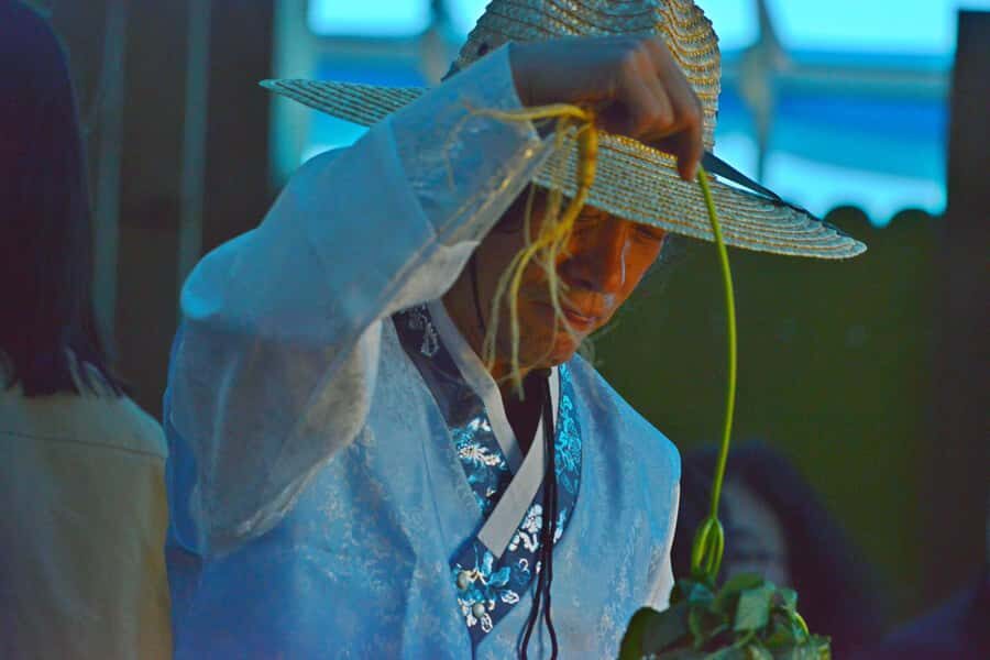 From Seoul: Make Your Own Chilli Paste & Ginseng Liquor Tour - An In-Depth Look at the Itinerary and Experience