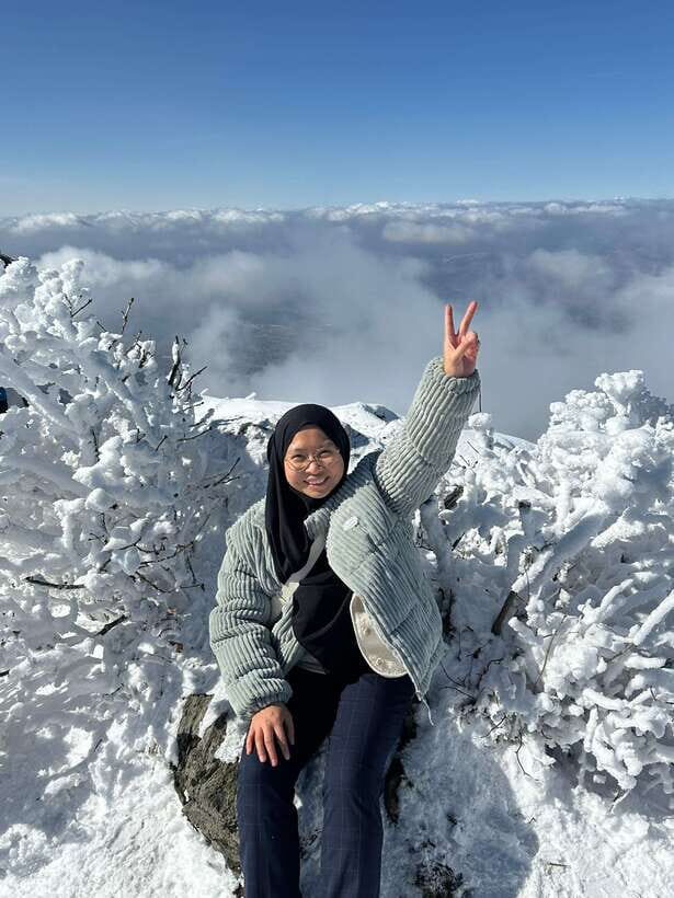 From Seoul: Snow-Capped Beauty of Deogyusan National Park - Who Will Love This Tour?