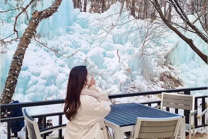 From Seoul : Winter One Day Tour in Pocheon - Detailed Breakdown of the Experience