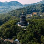 From Shanghai: Hangzhou Private Day Tour by Bullet Train - What Makes This Tour Stand Out?