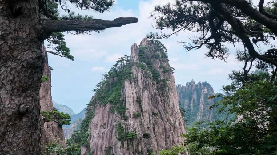 From Shanghai: Huangshan Private Day Trip by High-Speed Rail - Why This Tour Offers Great Value