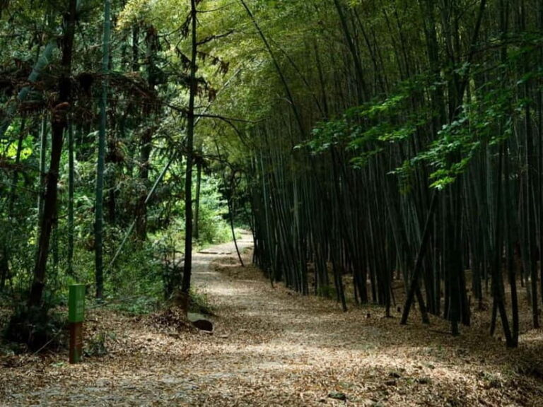 From Shanghai: Xiaoshao Ancient Road Journey - Exploring the Ancient Secret Trail