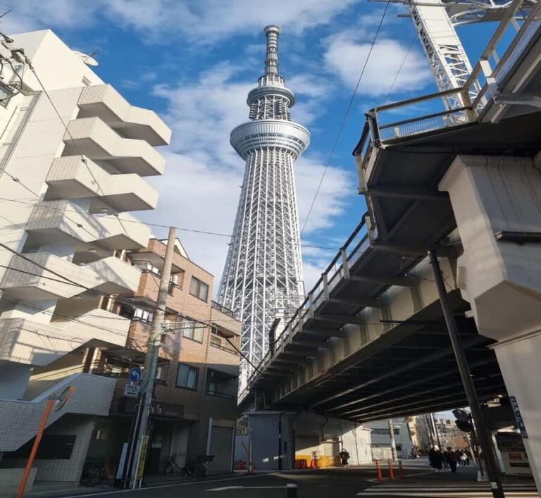 From Shizuoka: Tokyo Private Full-Day Tour with Driver - The Itinerary: What to Expect