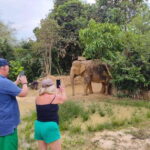 From Siem Reap: Elephant Sanctuary Experience with Transfers - Why This Tour Offers Great Value