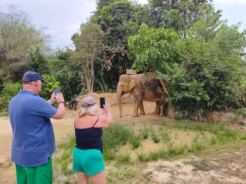 From Siem Reap: Elephant Sanctuary Experience with Transfers - Why This Tour Offers Great Value