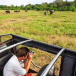 From Sigiriya: 6-Day Sri Lanka Tour with Yala Safari - Day 2: Polonnaruwa and Minneriya Safari