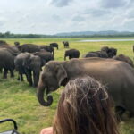 From Sigiriya/Habarana: Minneriya National Park Safari - FAQs