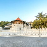 From Sigiriya: Kandy Trip with Elephant Orphanage Pinnawala - Is This Tour Worth It?