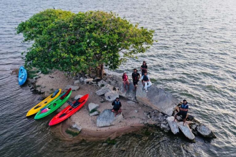 From Sigiriya: Kayaking Through Floating Flowers at Kanthale - What Makes This Tour Stand Out