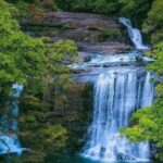 From South Coast: Sinharaja Rainforest Day Trip - Introduction to the Day Trip