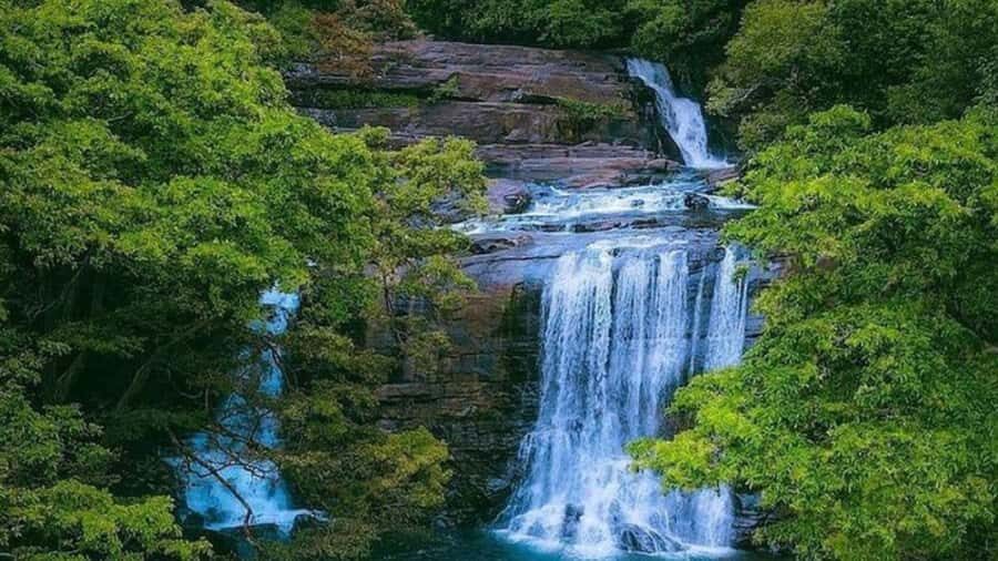 From South Coast: Sinharaja Rainforest Day Trip - Introduction to the Day Trip