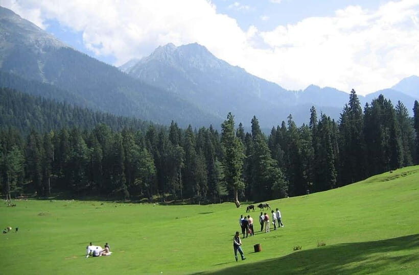 From Srinagar: Sonmarg Day Trip - Final Thoughts: Is the Sonmarg Day Trip Worth It?