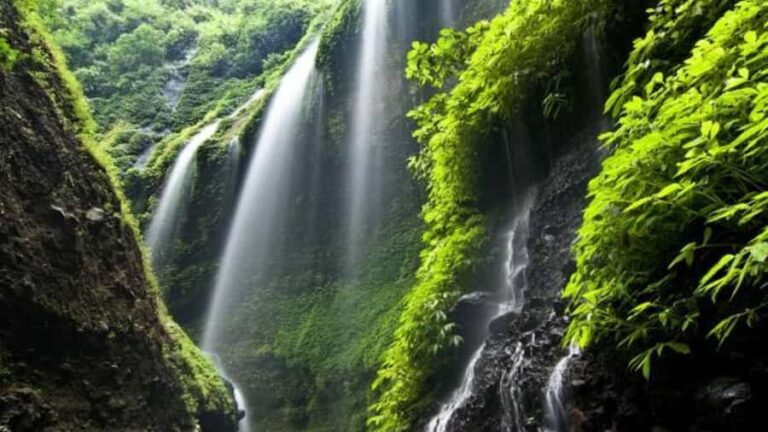 From Surabaya/Malang: Mount Bromo and Madakaripura Day Tour - Practical Details and Tips