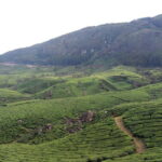 From Suryanelli: Kolukkumalai Tent Stay - Authentic Experiences That Stand Out
