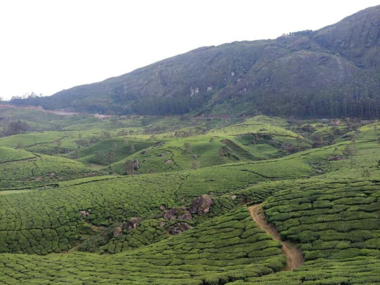 From Suryanelli: Kolukkumalai Tent Stay - Authentic Experiences That Stand Out