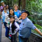 From Sydney: Blue Mountains Sightseeing And Sunset Day Tour - The Itinerary Breakdown