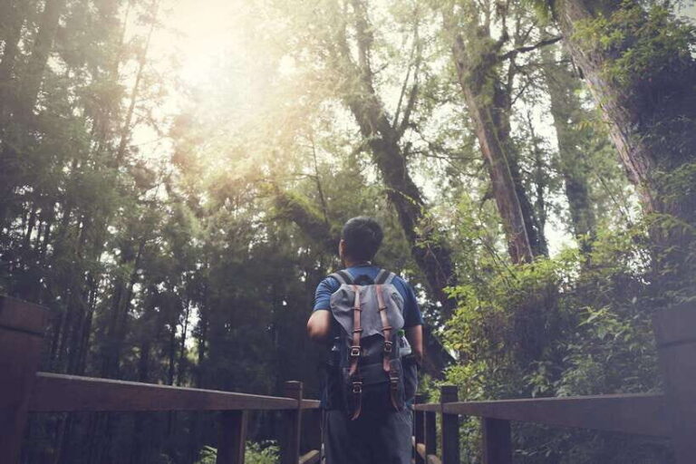 From Taipei City: 3-Day Sun Moon Lake & Alishan Private Tour - Who This Tour Is Best For