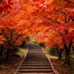 From Taipei or Taichung: 2-Day Alishan & Sun Moon Lake Tour - What Makes This Tour Valuable