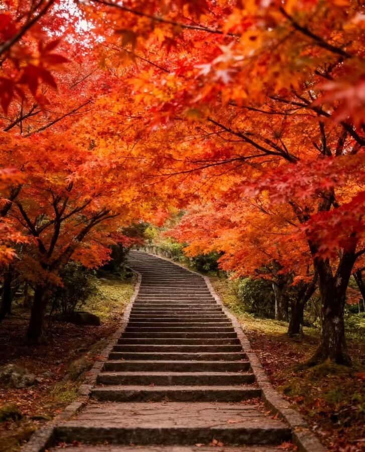 From Taipei or Taichung: 2-Day Alishan & Sun Moon Lake Tour - What Makes This Tour Valuable