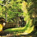 From Taipei: Taipingshan National Forest Private Day Tour - Authentic Insights from Past Travelers