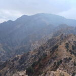 From Tashkent: Small Chimgan Peak Hiking Day Trip - Detailed Breakdown of the Itinerary