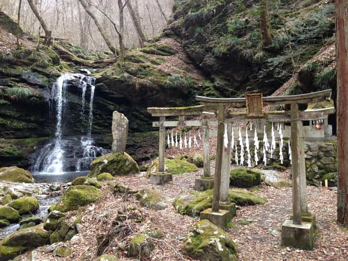 From Tokyo: Chichibu Hiking Day Tour To Mitsumine Shrine - Practical Details and What to Expect