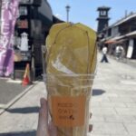 FROM TOKYO - EXPLORE LITTLE EDO & CRAFTS WALKING TOUR - A Deeper Look at the Itinerary